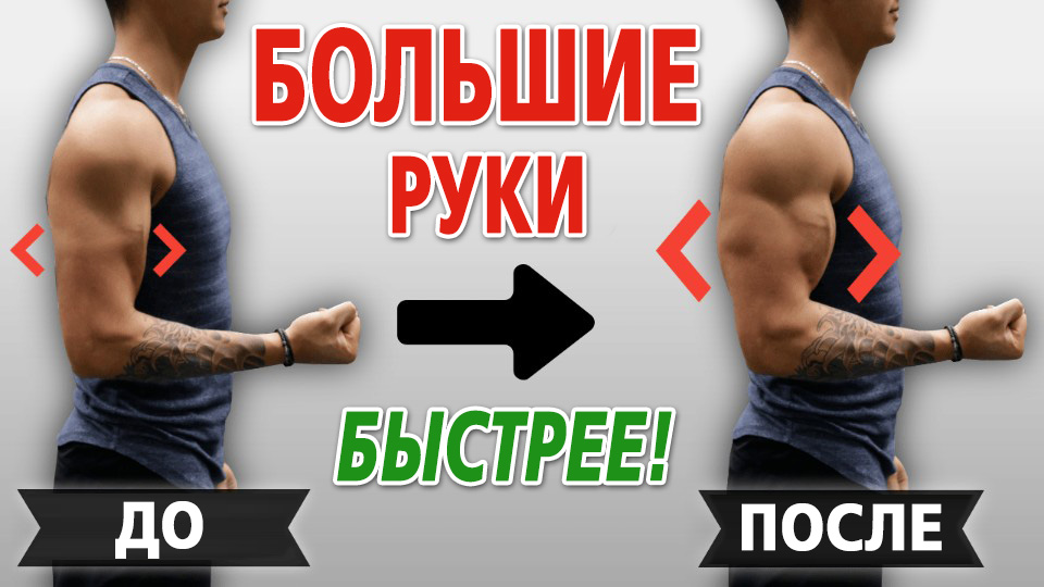 Как накачать большие руки быстрее. Ускоряем рост бицепса и трицепса