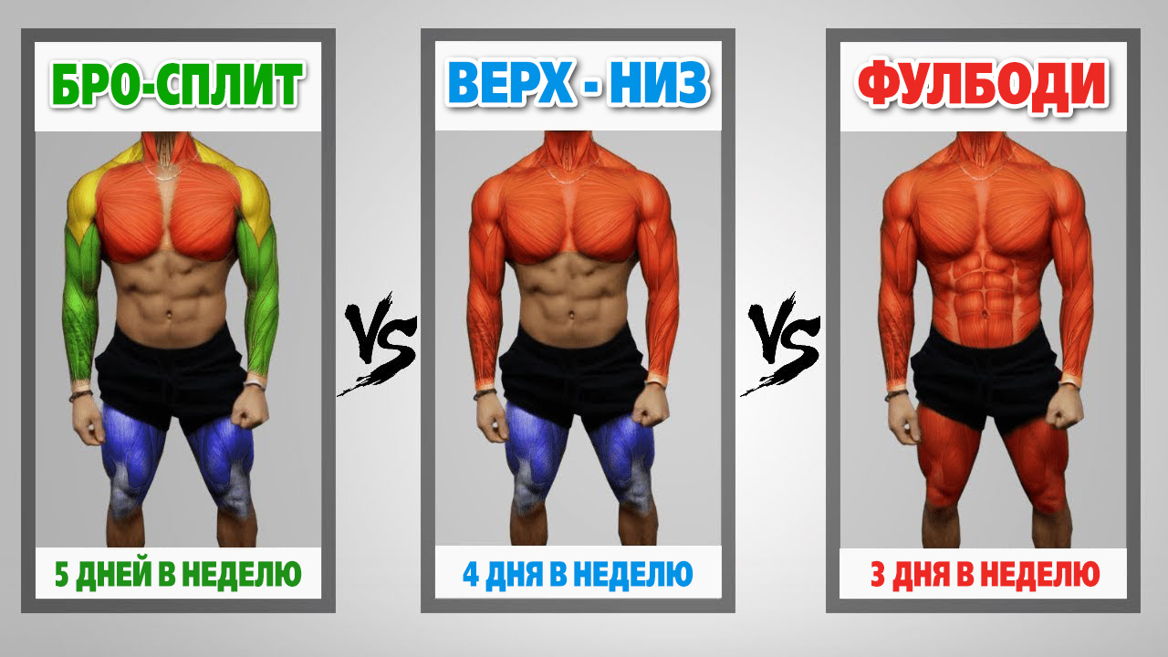 Лучший сплит для тренировок. Какая программа лучше для набора мышечной массы