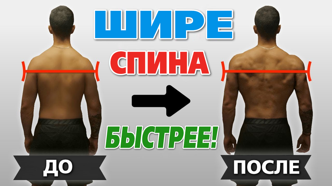 Как накачать широкую спину быстрее. Ускоряем рост широчайших мышц